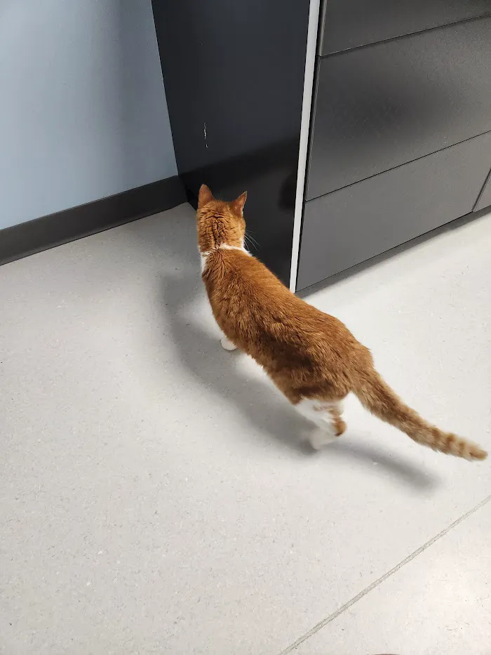 Animal Medical Center 12