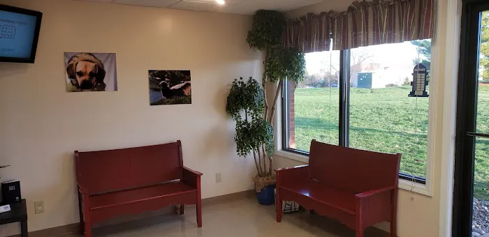 Vista Hills Animal Hospital 12