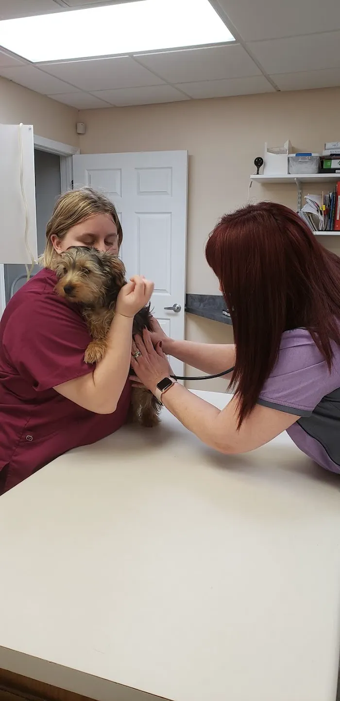 Vista Hills Animal Hospital 12