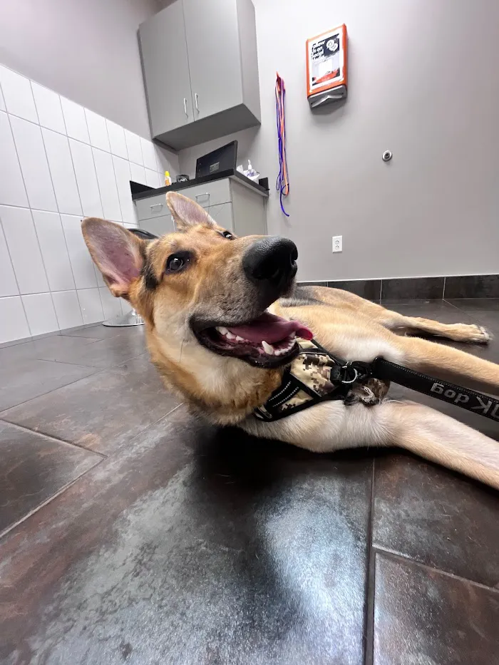 City Way Animal Clinics - Mass Ave 12