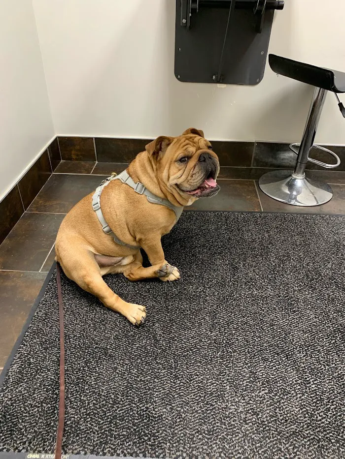 City Way Animal Clinics - Mass Ave 12