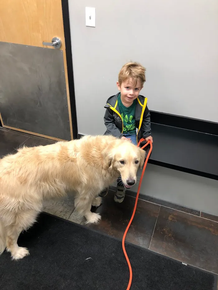City Way Animal Clinics - Mass Ave 12
