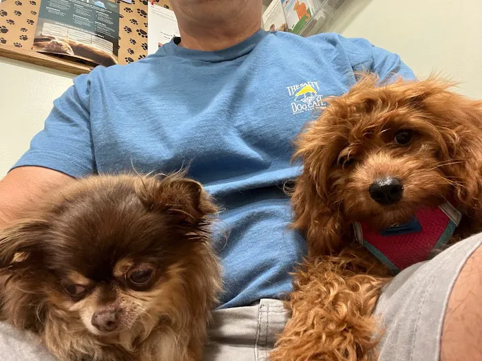 Irvington Pet Clinic 1