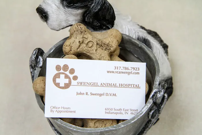 VCA Swengel Animal Hospital 12