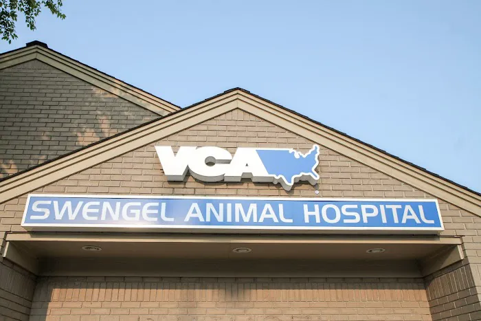 VCA Swengel Animal Hospital 12