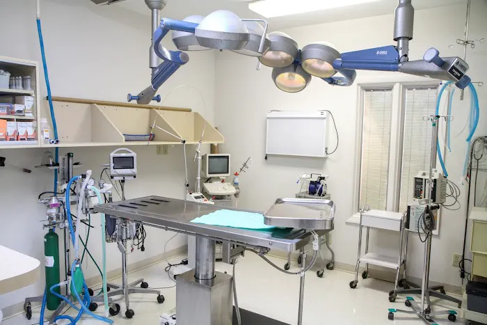 VCA Swengel Animal Hospital 12