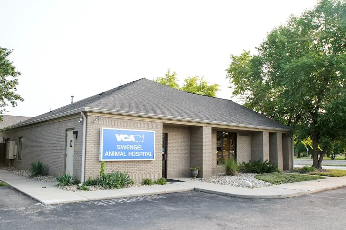 VCA Swengel Animal Hospital 12