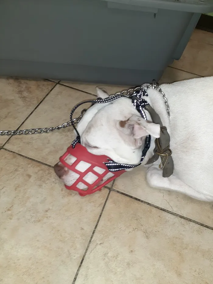 West Michigan Street Veterinary Clinic 8