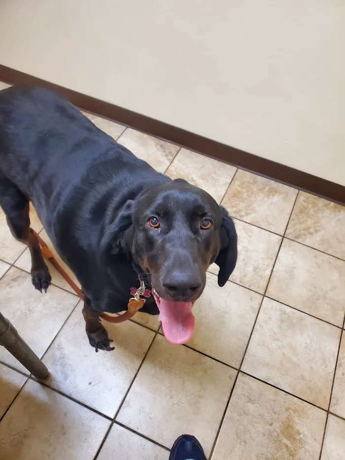 West Michigan Street Veterinary Clinic 3