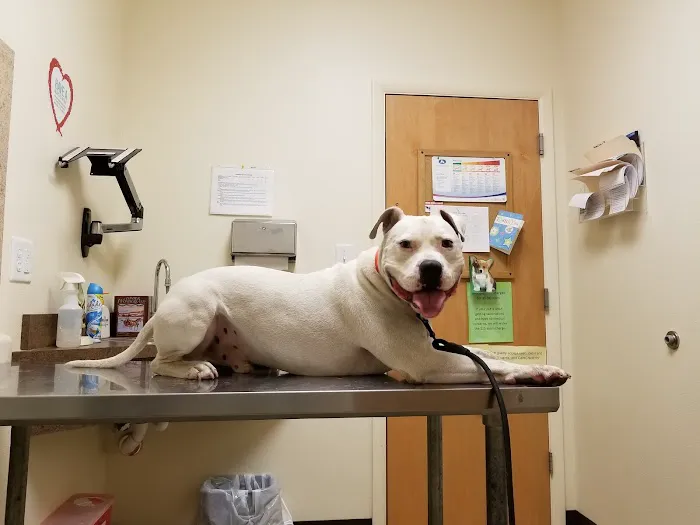 West Michigan Street Veterinary Clinic 5