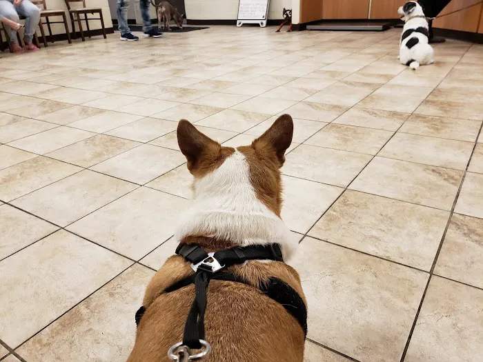 West Michigan Street Veterinary Clinic 2