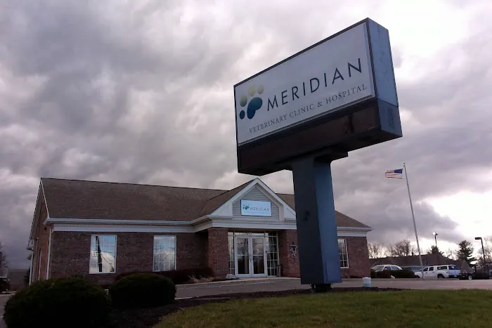Meridian Veterinary Clinic & Hospital 12