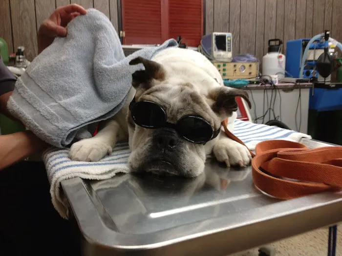 Meridian Veterinary Clinic & Hospital 12