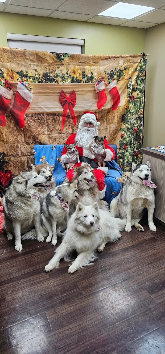 Meridian Veterinary Clinic & Hospital 12