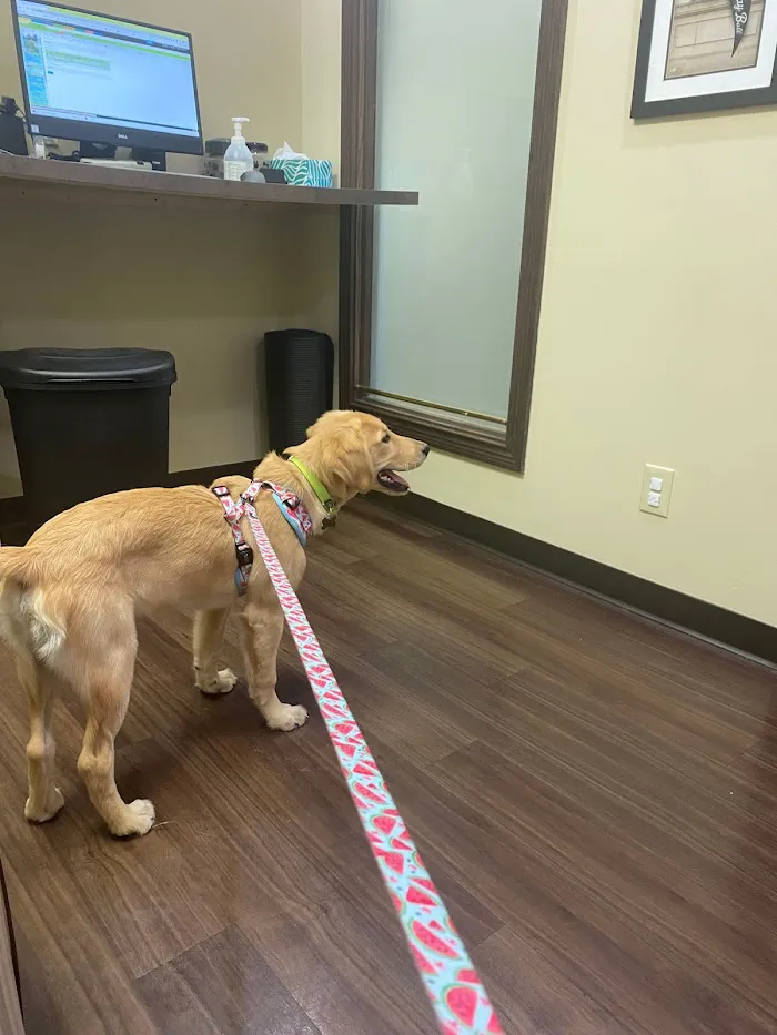 Meridian Veterinary Clinic & Hospital 12