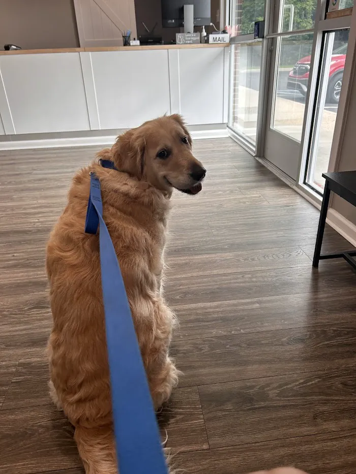 Shelby Street Animal Clinic 12