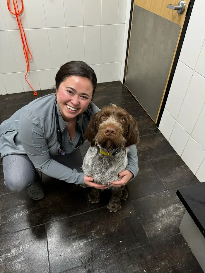 City Way Animal Clinics - Fountain Square 9