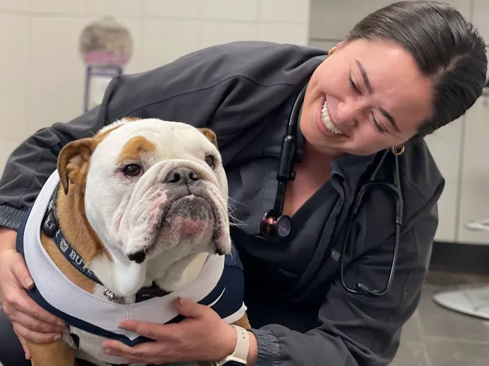 City Way Animal Clinics - Fountain Square 8