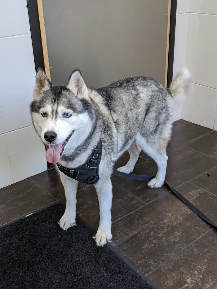 City Way Animal Clinics - Fountain Square 3