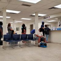 FACE Low-Cost Animal Clinic ico