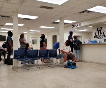 FACE Low-Cost Animal Clinic