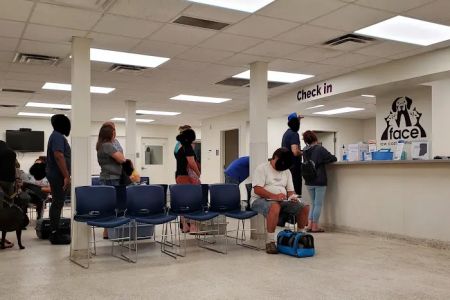 FACE Low-Cost Animal Clinic