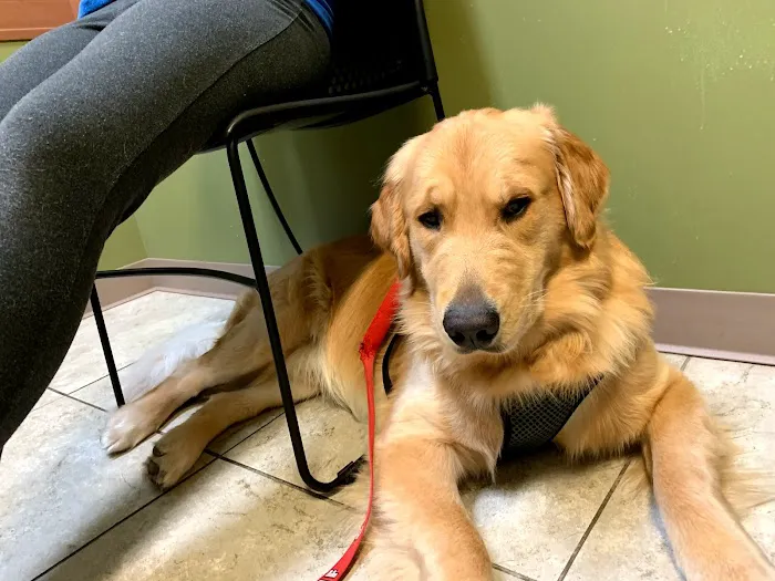 Noah's Stop 11 Animal Hospital 12