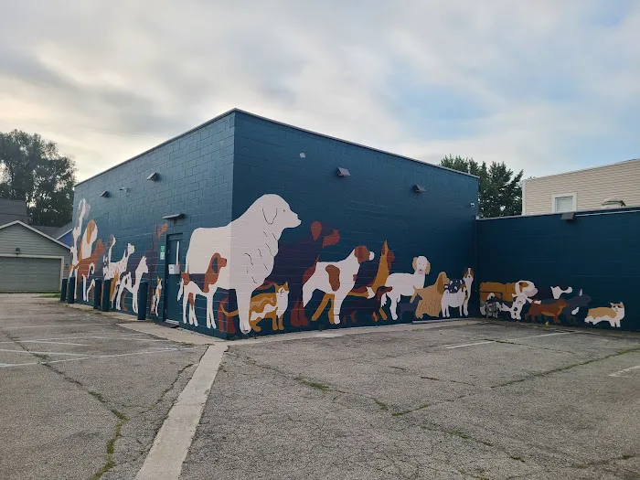Indianapolis Animal Urgent Care 12