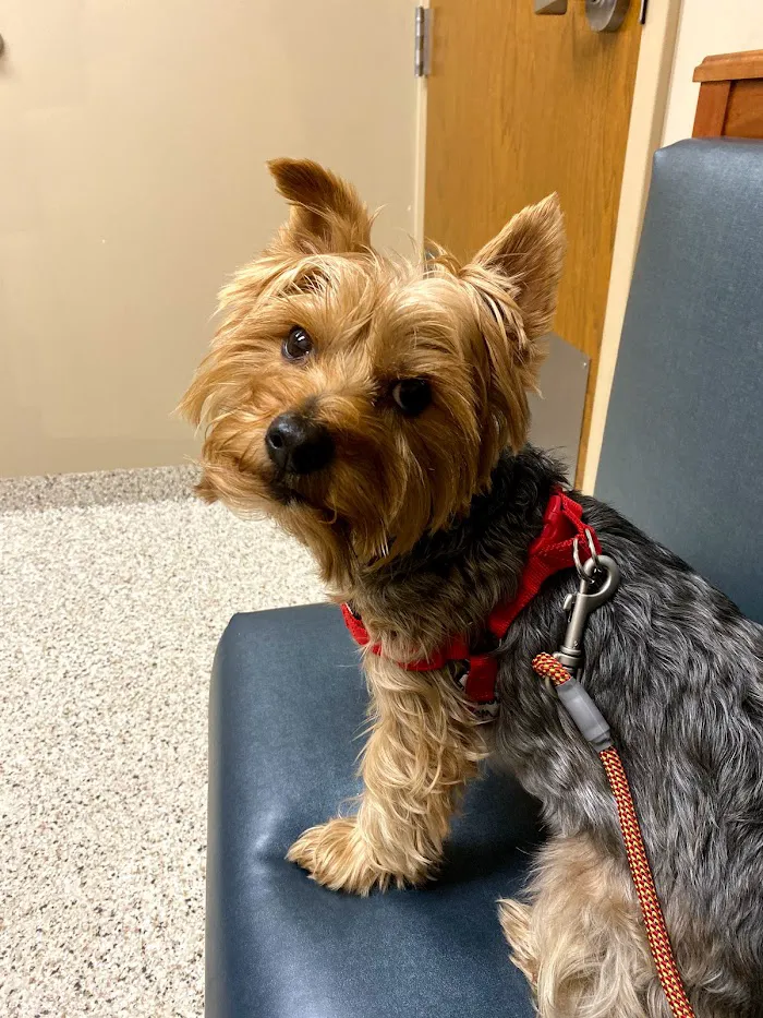 Brookville Road Animal Hospital 12