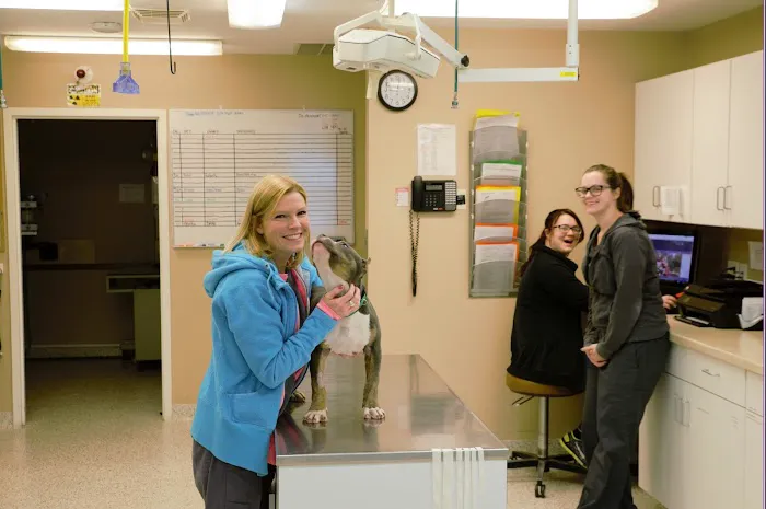 Brookville Road Animal Hospital 12