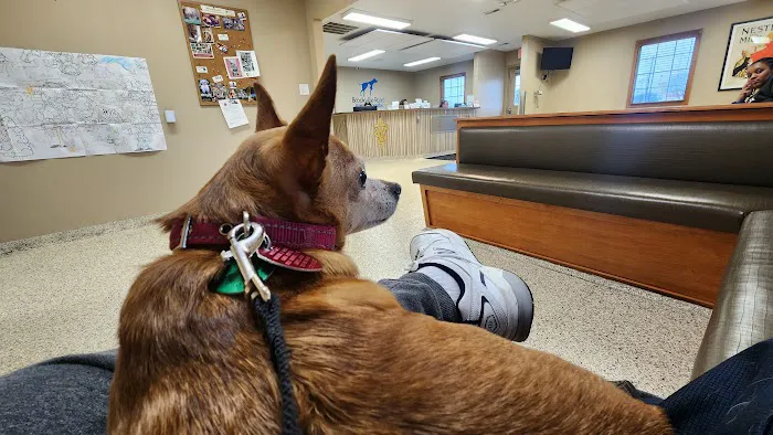 Brookville Road Animal Hospital 12
