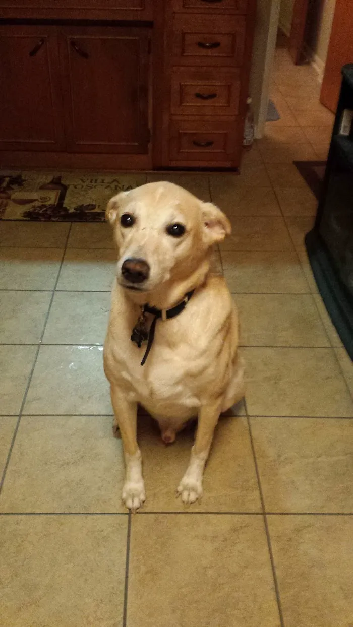 Churchman Animal Hospital 12
