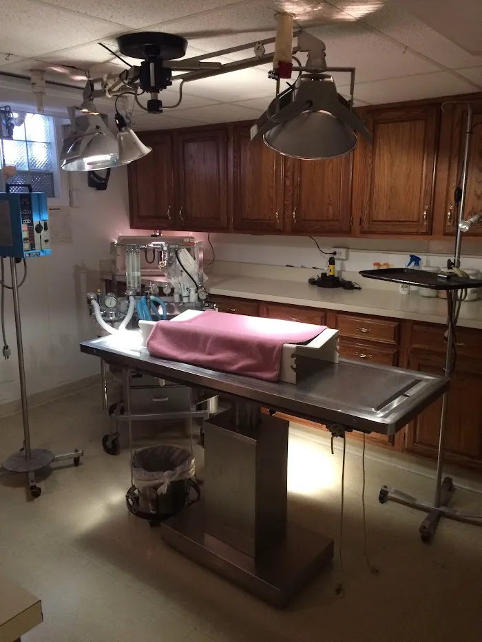 Churchman Animal Hospital 12