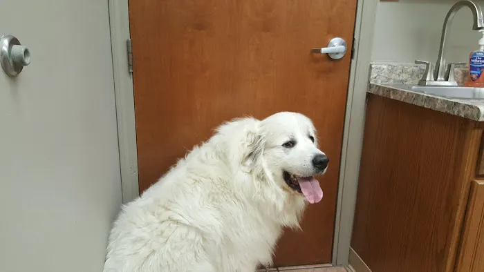 South Side Animal Hospital 12