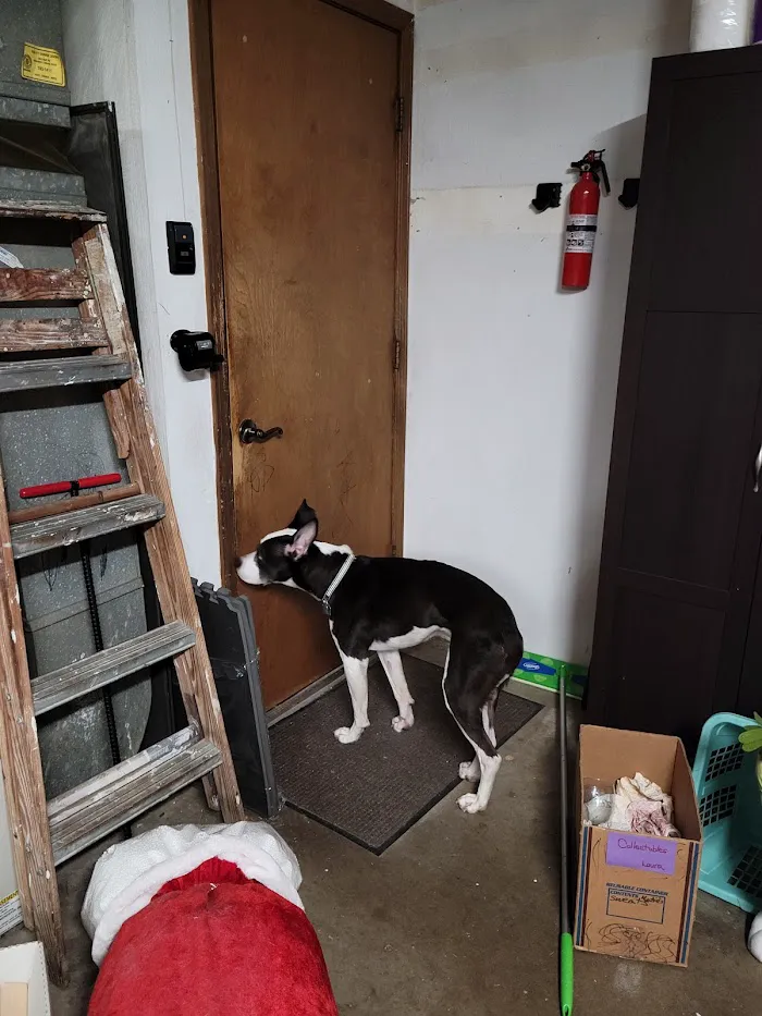 South 31 Veterinary Clinic 12