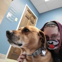 Noah's Animal Hospital & 24 HR Emergency Center ico
