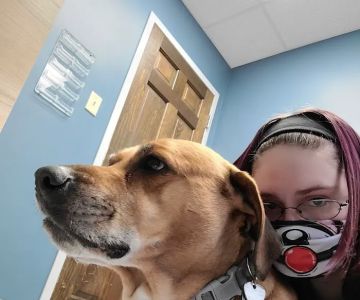 Noah's Animal Hospital & 24 HR Emergency Center