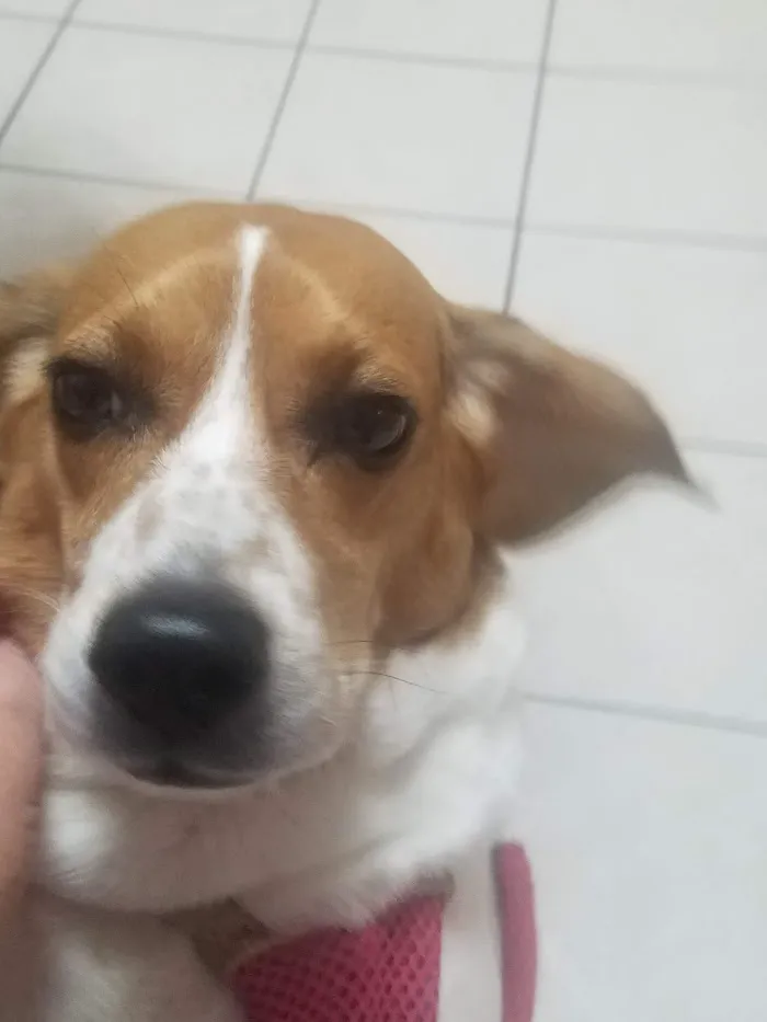 Noah's Animal Hospital & 24 HR Emergency Center 12