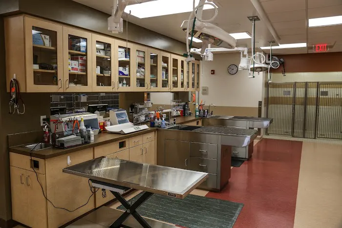 VCA Beech Grove Animal Hospital 9