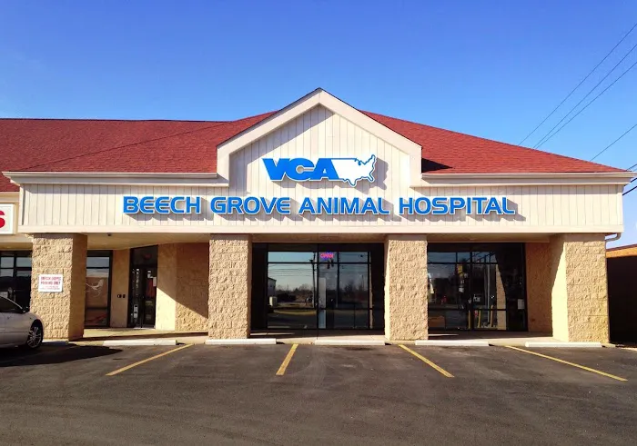VCA Beech Grove Animal Hospital 1