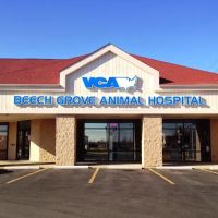VCA Beech Grove Animal Hospital ico