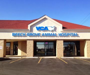 VCA Beech Grove Animal Hospital