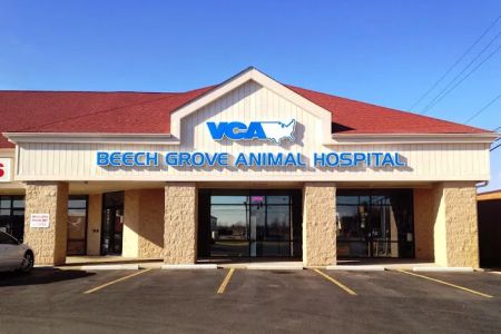 VCA Beech Grove Animal Hospital