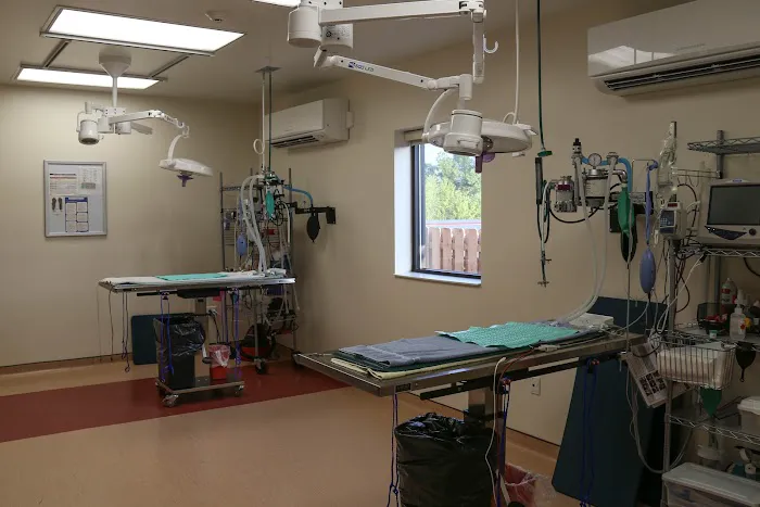 VCA Beech Grove Animal Hospital 4