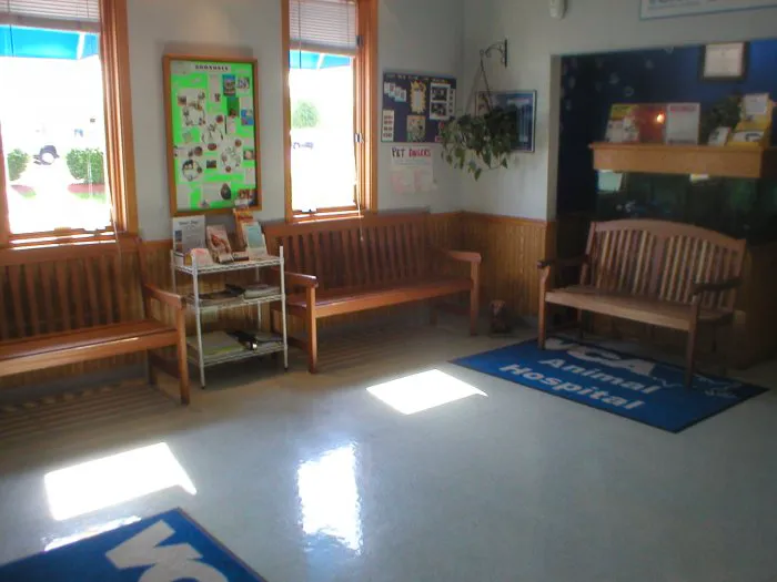 VCA Beech Grove Animal Hospital 7