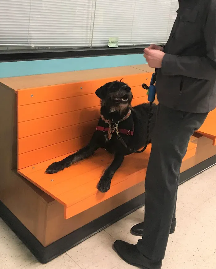 Banfield Pet Hospital 12