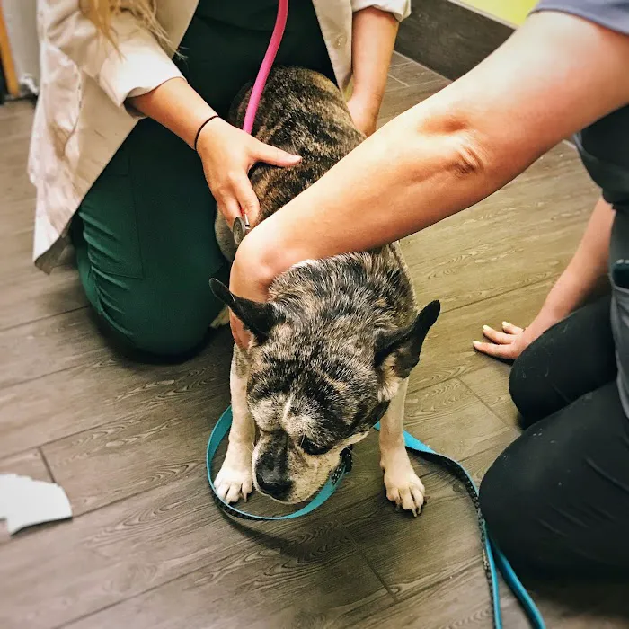 Banfield Pet Hospital 12