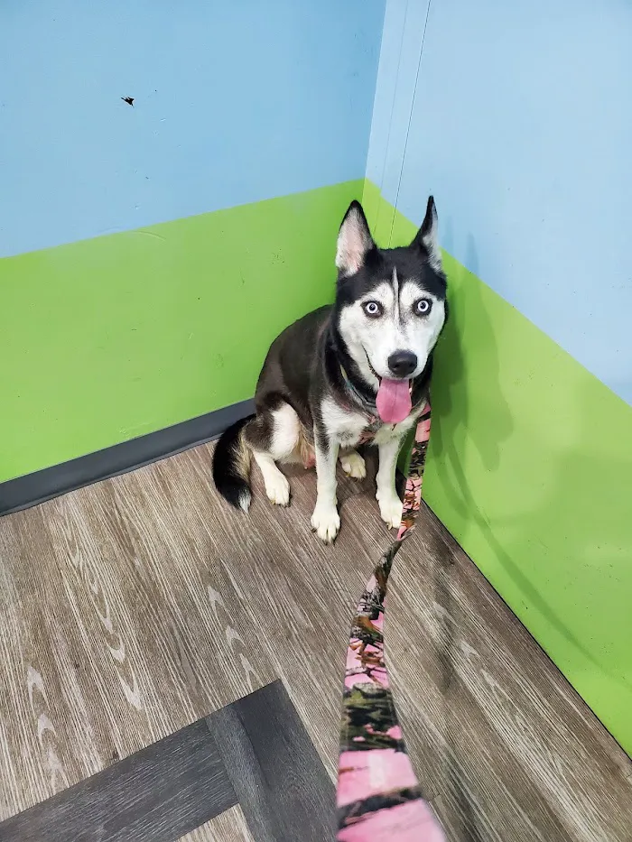 Philadelphia Animal Hospital 5