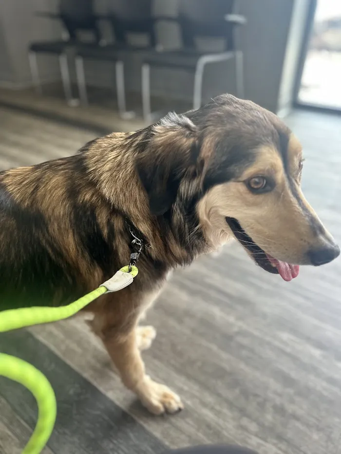 Philadelphia Animal Hospital 3
