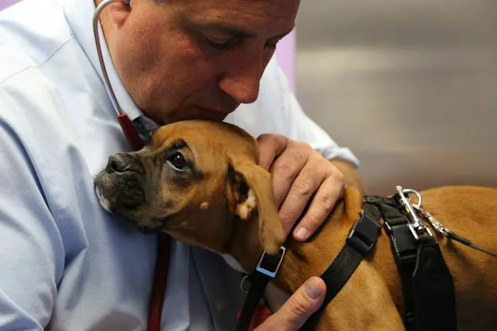 Philadelphia Animal Hospital 2